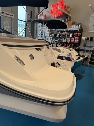 Bayliner V20