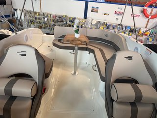 Bayliner V20