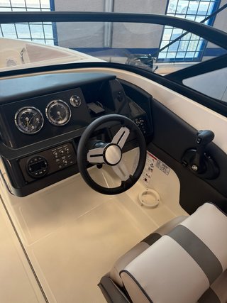 Bayliner V20