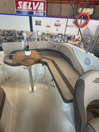 Bayliner V20