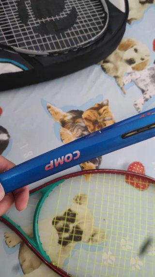 Raqueta de Tenis