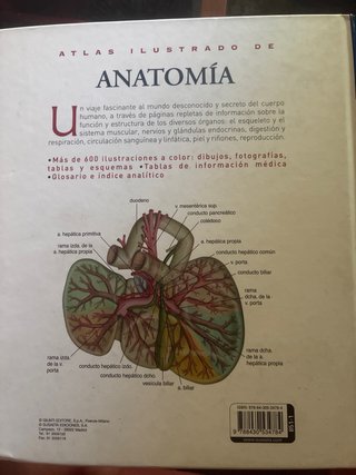 Atlas ilustrado de anatomía