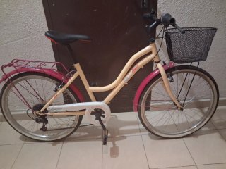 Bicicleta Ethnic 24 con cesta y portabultos