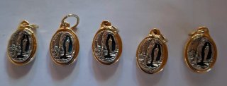 Lote Medallas Lourdes Oro y Plata