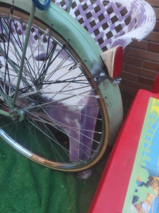 Bicicleta antigua verde
