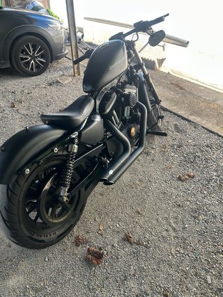 Harley-Davidson XL883N Iron Negra