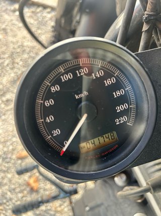 Harley-Davidson XL883N Iron Negra