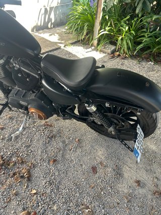 Harley-Davidson XL883N Iron Negra