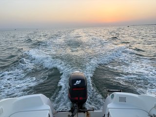 Barco Quicksilver 500 Pilothouse