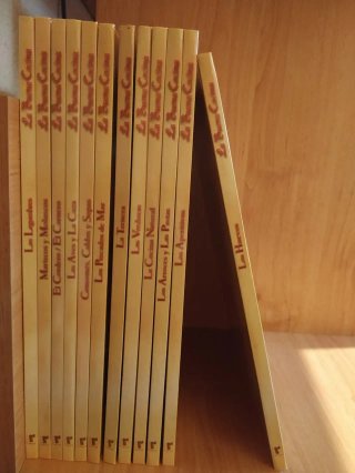 Colección de libros "La buena cocina"