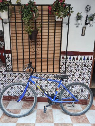 Bicicleta Orbea Clásica 26"