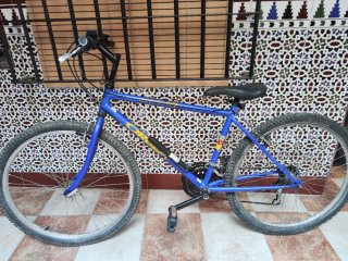 Bicicleta Orbea Clásica 26"