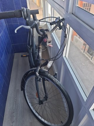 Bicicleta de paseo