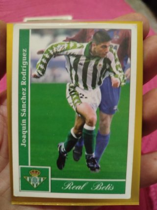 Cromos Panini Joaquín Real Betis Liga 2004