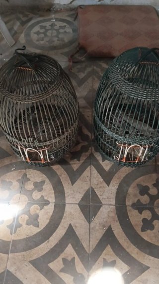 Jaulas para perdiz hechas a mano 1, 35€. 2x 60€
