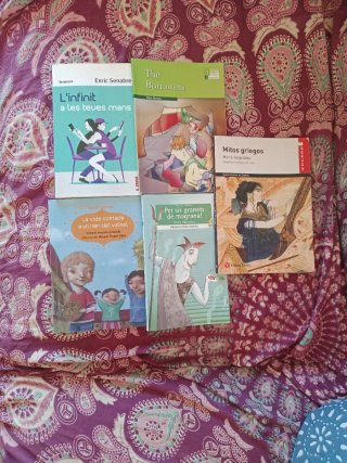 Libros lectura ESO