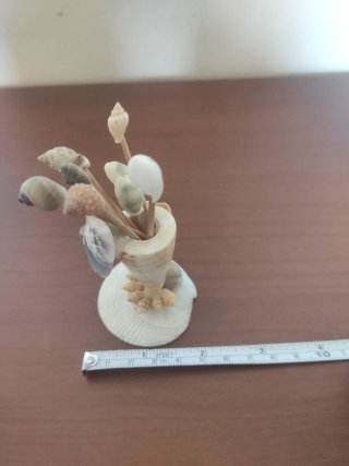 Figura decorativa di conchiglie