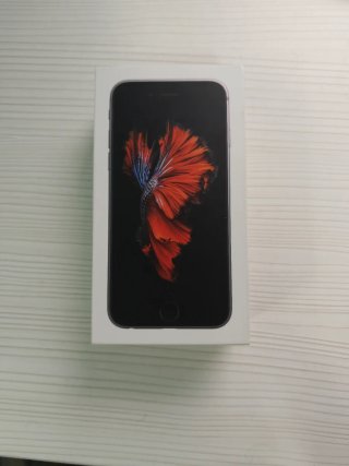 iPhone 6s con Pantalla Rota