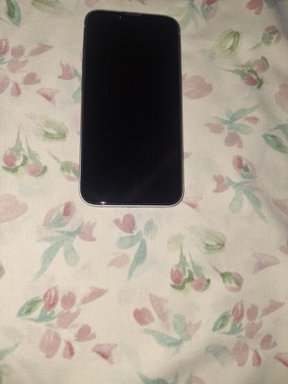iPhone 14 Viola