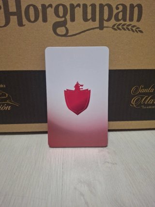 Pokémon Scudo Nintendo Switch (Edizione speciale)