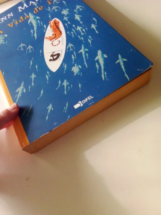 A Vida De PI