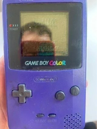 V-Rally Game Boy Color Cartucho Original
