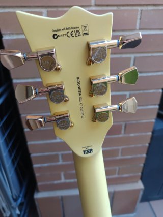 ESP LTD EC-256 Vintage Gold Satin Guitarra