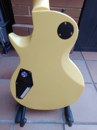 ESP LTD EC-256 Vintage Gold Satin Guitarra