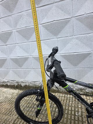 Bicicleta negra