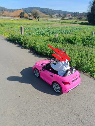 Coche rosa a batería para niña