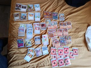 Mazo Cartas Pokémon Charizard / Fennekin enfundado