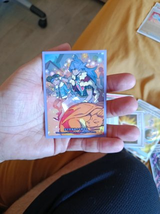 Mazo Cartas Pokémon Charizard / Fennekin enfundado