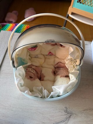 Muñecos Labubu + Ropa y Carrito