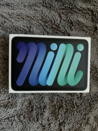iPad mini 6ª Gen Space Gray