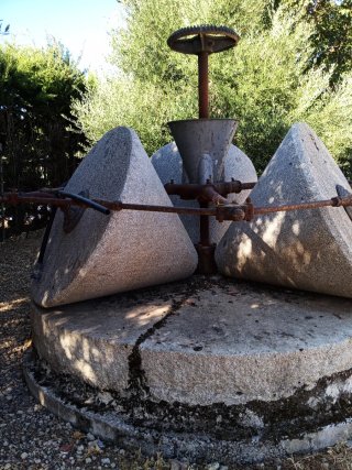 Molino de piedra para aceite