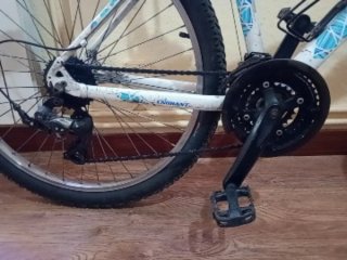 Bicicleta