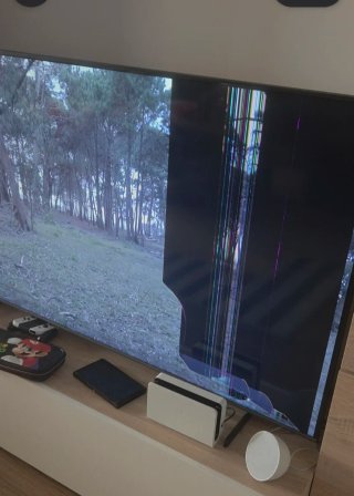Samsung 55 TV Rota para Piezas