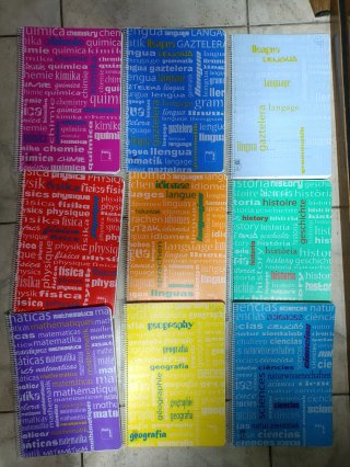 Lote 8 libretas temáticas
