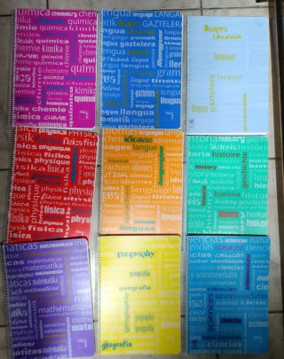 Lote 8 libretas temáticas