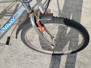 Bicicleta LONGWAY SNOW Cromada
