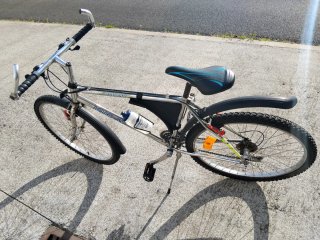 Bicicleta LONGWAY SNOW Cromada