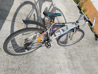 Bicicleta LONGWAY SNOW Cromada