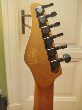 Schecter PT Standard Viola Burl