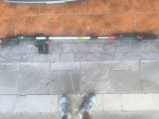 Podadora Extensible Parkside