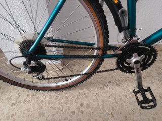 Bicicleta todo terreno