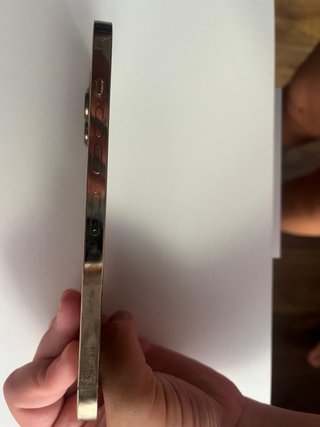 iPhone 13 Pro Max Gold/Silver
