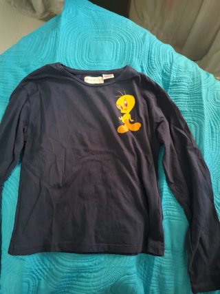 Lote Ropa Niña 11 Años