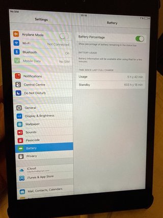 iPad Mini Negro