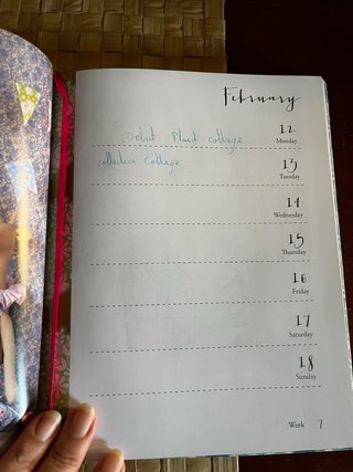 Agenda Tilda 2018 Rara Collezione