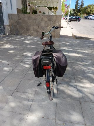 Bicicleta Eléctrica Paseo
